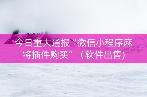 今日重大通报“微信小程序麻将插件购买”（软件出售)