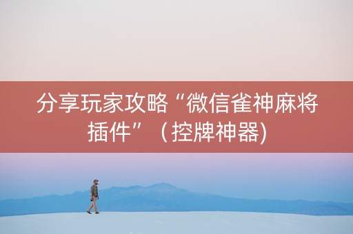 分享玩家攻略“微信雀神麻将插件”（控牌神器)