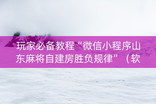 玩家必备教程“微信小程序山东麻将自建房胜负规律”（软挂神器)