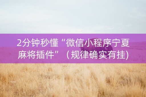 2分钟秒懂“微信小程序宁夏麻将插件”（规律确实有挂)