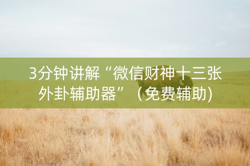 3分钟讲解“微信财神十三张外卦辅助器”（免费辅助)