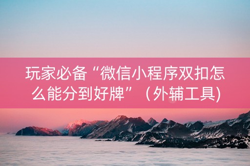玩家必备“微信小程序双扣怎么能分到好牌”（外辅工具)