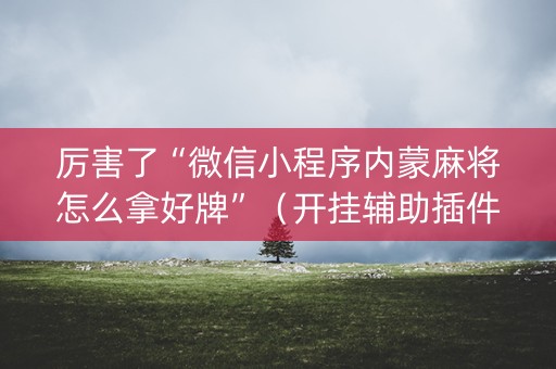 厉害了“微信小程序内蒙麻将怎么拿好牌”（开挂辅助插件)