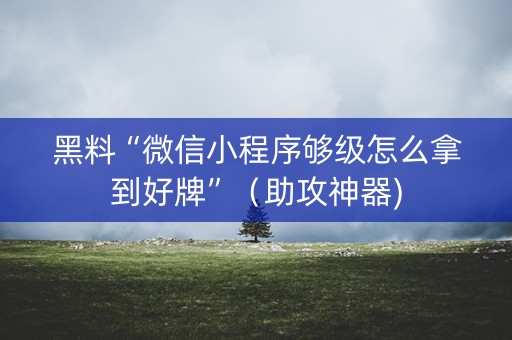 黑料“微信小程序够级怎么拿到好牌”（助攻神器)