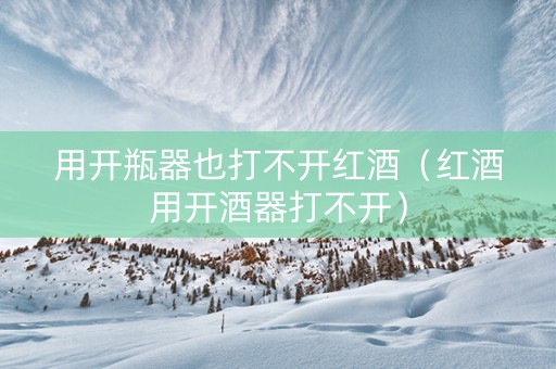 用开瓶器也打不开红酒（红酒用开酒器打不开）