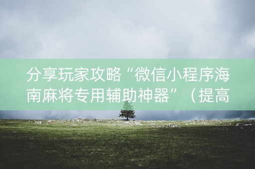 分享玩家攻略“微信小程序海南麻将专用辅助神器”（提高胜率软件)