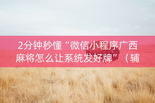 2分钟秒懂“微信小程序广西麻将怎么让系统发好牌”（辅助器插件)