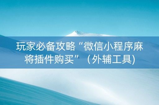 玩家必备攻略“微信小程序麻将插件购买”（外辅工具)