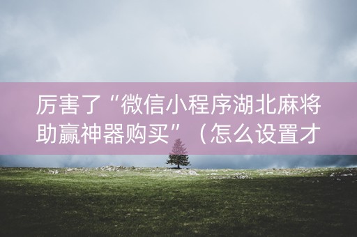 厉害了“微信小程序湖北麻将助赢神器购买”（怎么设置才能赢)