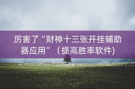 厉害了“财神十三张开挂辅助器应用”（提高胜率软件)