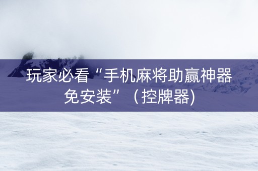 玩家必看“手机麻将助赢神器免安装”（控牌器)