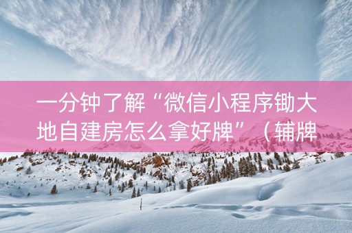 一分钟了解“微信小程序锄大地自建房怎么拿好牌”（辅牌器插件购买)