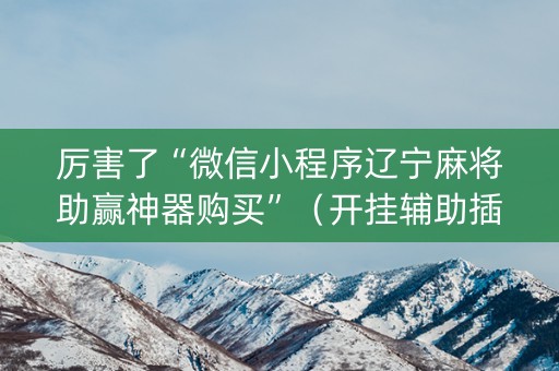 厉害了“微信小程序辽宁麻将助赢神器购买”（开挂辅助插件)