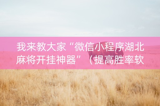 我来教大家“微信小程序湖北麻将开挂神器”（提高胜率软件)
