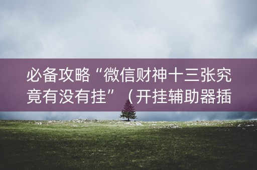 必备攻略“微信财神十三张究竟有没有挂”（开挂辅助器插件)