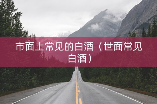 市面上常见的白酒（世面常见白酒）