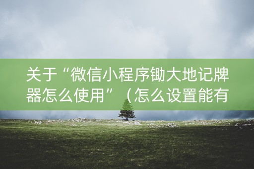 关于“微信小程序锄大地记牌器怎么使用”（怎么设置能有好牌)