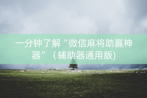 一分钟了解“微信麻将助赢神器”（辅助器通用版)