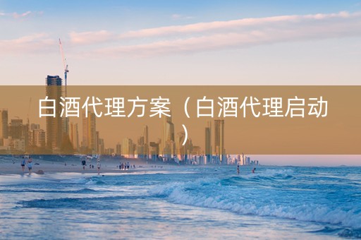 白酒代理方案（白酒代理启动）