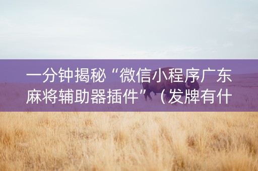 一分钟揭秘“微信小程序广东麻将辅助器插件”（发牌有什么规律吗)