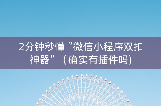 2分钟秒懂“微信小程序双扣神器”（确实有插件吗)