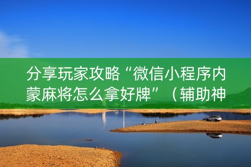 分享玩家攻略“微信小程序内蒙麻将怎么拿好牌”（辅助神器免费)