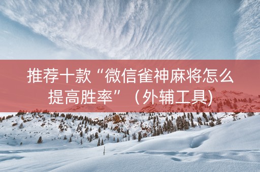 推荐十款“微信雀神麻将怎么提高胜率”（外辅工具)