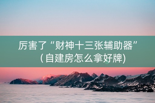 厉害了“财神十三张辅助器”（自建房怎么拿好牌)