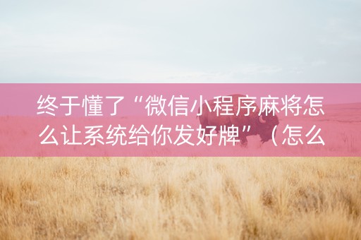 终于懂了“微信小程序麻将怎么让系统给你发好牌”（怎么提高胜率)