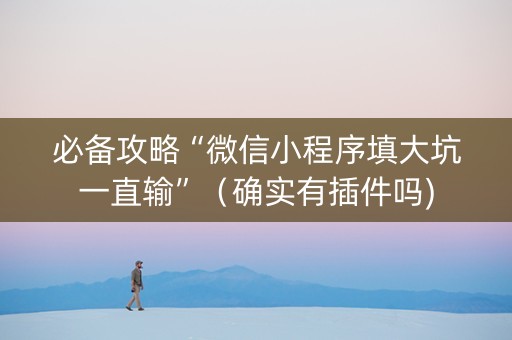必备攻略“微信小程序填大坑一直输”（确实有插件吗)