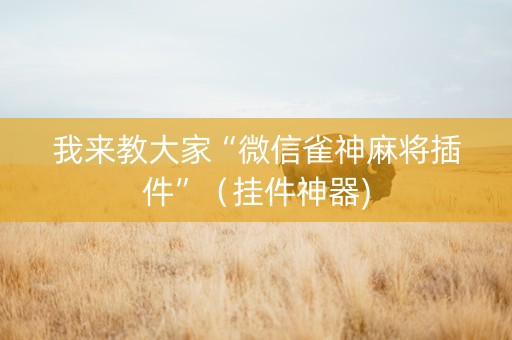 我来教大家“微信雀神麻将插件”（挂件神器)