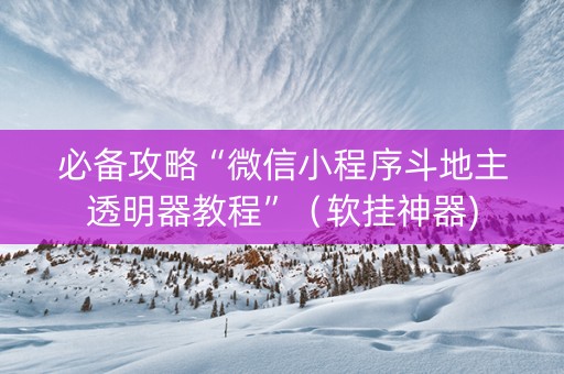 必备攻略“微信小程序斗地主透明器教程”（软挂神器)