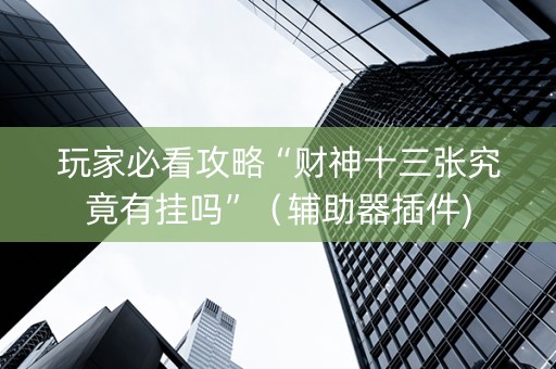 玩家必看攻略“财神十三张究竟有挂吗”（辅助器插件)
