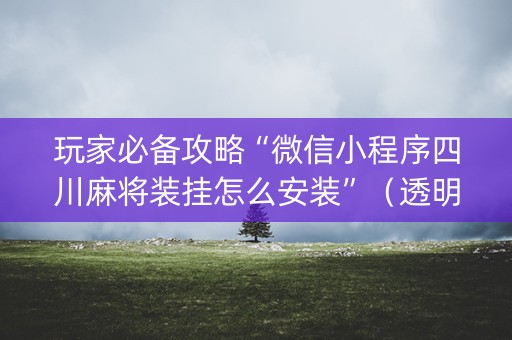 玩家必备攻略“微信小程序四川麻将装挂怎么安装”（透明挂辅助器)