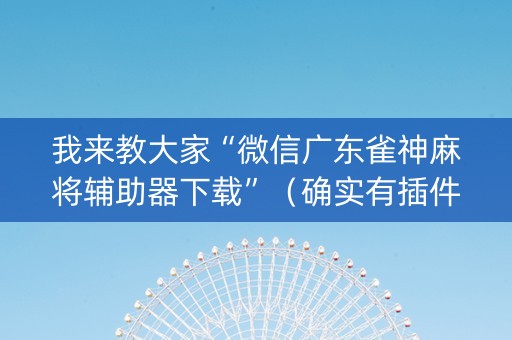 我来教大家“微信广东雀神麻将辅助器下载”（确实有插件吗)