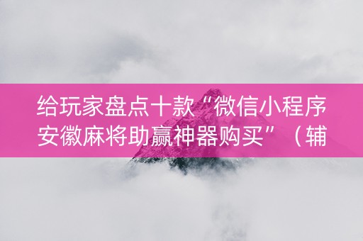 给玩家盘点十款“微信小程序安徽麻将助赢神器购买”（辅助软件)