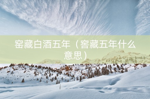 窑藏白酒五年（窖藏五年什么意思）