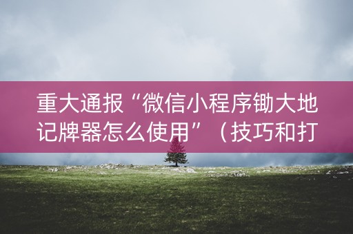 重大通报“微信小程序锄大地记牌器怎么使用”（技巧和打好牌方法)