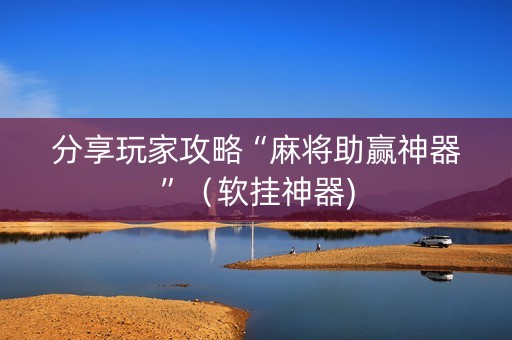 分享玩家攻略“麻将助赢神器”（软挂神器)