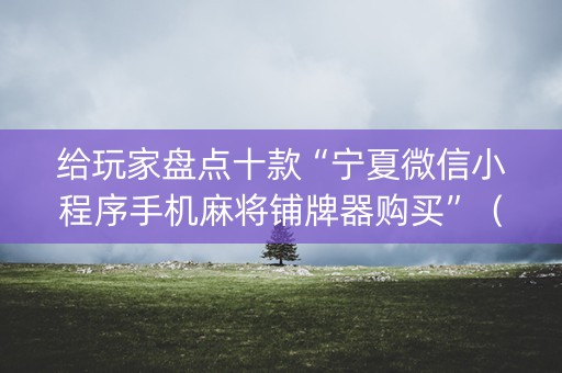 给玩家盘点十款“宁夏微信小程序手机麻将铺牌器购买”（辅助神器免费)