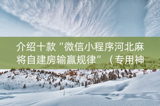 介绍十款“微信小程序河北麻将自建房输赢规律”（专用神器)