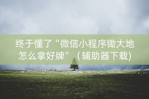 终于懂了“微信小程序锄大地怎么拿好牌”（辅助器下载)