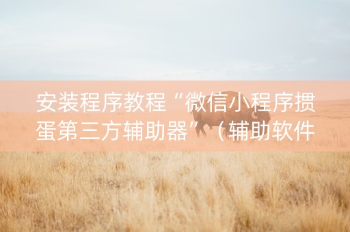 安装程序教程“微信小程序掼蛋第三方辅助器”（辅助软件)