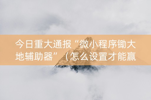 今日重大通报“微小程序锄大地辅助器”（怎么设置才能赢)