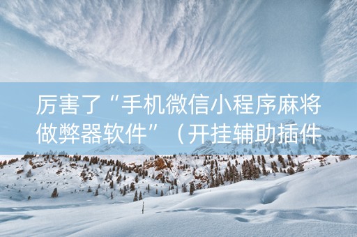 厉害了“手机微信小程序麻将做弊器软件”（开挂辅助插件)