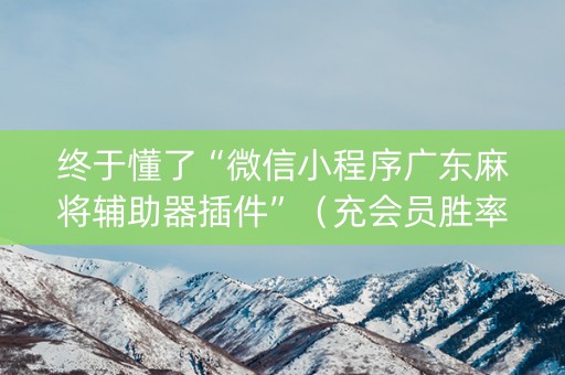 终于懂了“微信小程序广东麻将辅助器插件”（充会员胜率高)