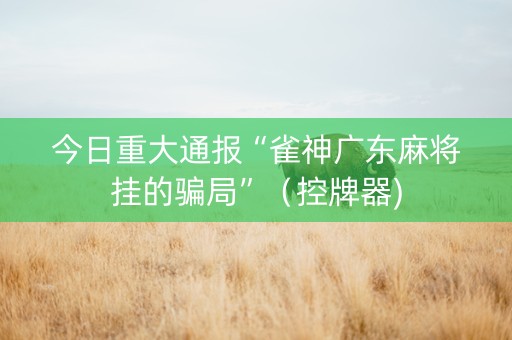 今日重大通报“雀神广东麻将挂的骗局”（控牌器)