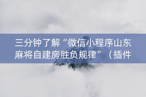 三分钟了解“微信小程序山东麻将自建房胜负规律”（插件开挂免费AI)