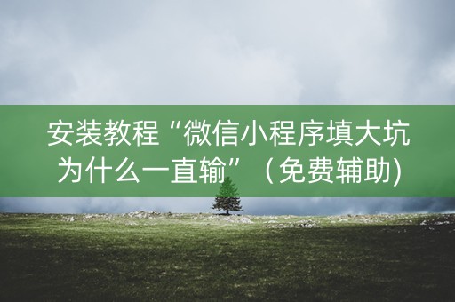 安装教程“微信小程序填大坑为什么一直输”（免费辅助)