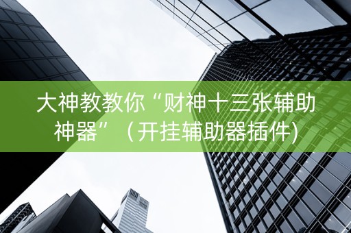大神教教你“财神十三张辅助神器”（开挂辅助器插件)